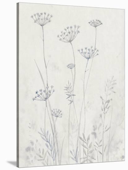 Neutral Queen Anne's Lace II-null-Stretched Canvas