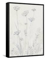 Neutral Queen Anne's Lace II-null-Framed Stretched Canvas