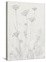 Neutral Queen Anne's Lace II-null-Stretched Canvas