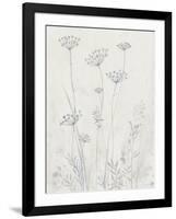 Neutral Queen Anne's Lace II-null-Framed Art Print
