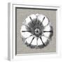 Neutral Rosette Detail I-Vision Studio-Framed Art Print