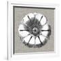 Neutral Rosette Detail I-Vision Studio-Framed Art Print