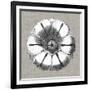 Neutral Rosette Detail I-Vision Studio-Framed Art Print