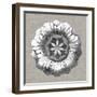 Neutral Rosette Detail II-Vision Studio-Framed Art Print