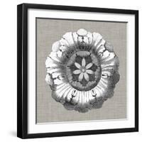 Neutral Rosette Detail II-Vision Studio-Framed Art Print