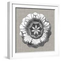 Neutral Rosette Detail II-Vision Studio-Framed Art Print