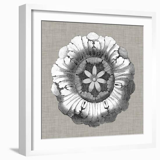 Neutral Rosette Detail II-Vision Studio-Framed Art Print