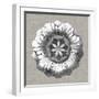 Neutral Rosette Detail II-Vision Studio-Framed Art Print