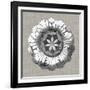 Neutral Rosette Detail II-Vision Studio-Framed Art Print