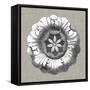 Neutral Rosette Detail II-Vision Studio-Framed Stretched Canvas