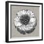 Neutral Rosette Detail III-Vision Studio-Framed Art Print