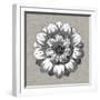 Neutral Rosette Detail IV-Vision Studio-Framed Art Print