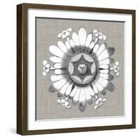 Neutral Rosette Detail V-Vision Studio-Framed Art Print