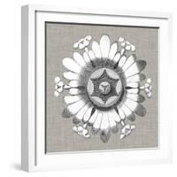 Neutral Rosette Detail V-Vision Studio-Framed Art Print