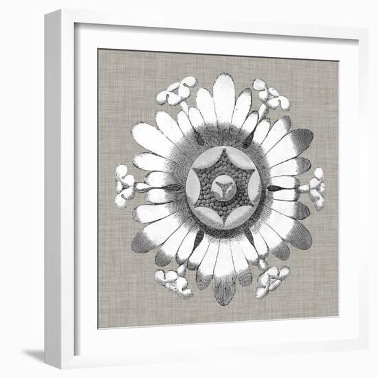 Neutral Rosette Detail V-Vision Studio-Framed Art Print