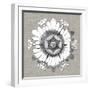 Neutral Rosette Detail V-Vision Studio-Framed Art Print