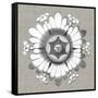 Neutral Rosette Detail V-Vision Studio-Framed Stretched Canvas