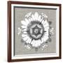 Neutral Rosette Detail V-Vision Studio-Framed Art Print