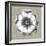 Neutral Rosette Detail VI-Vision Studio-Framed Art Print