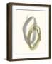 Neutral Rounds II-Jennifer Goldberger-Framed Art Print