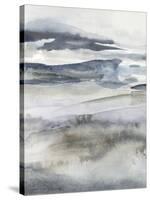 Neutral Salt Spray I-Victoria Borges-Stretched Canvas