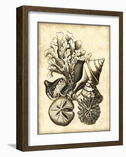 Neutral Shell and Coral Collection II-Vision Studio-Framed Art Print