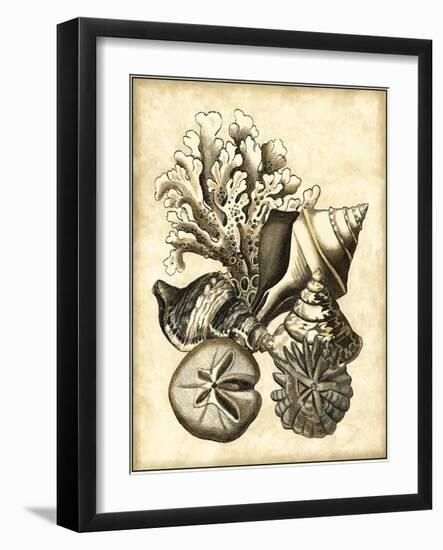 Neutral Shell and Coral Collection II-Vision Studio-Framed Art Print