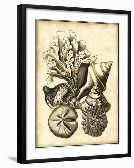 Neutral Shell and Coral Collection II-Vision Studio-Framed Art Print