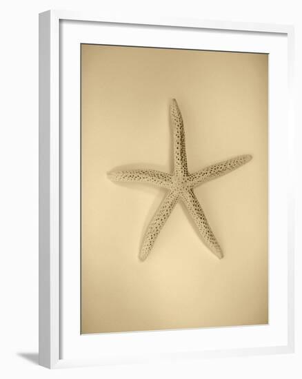 Neutral Shell I-Jairo Rodriguez-Framed Photographic Print