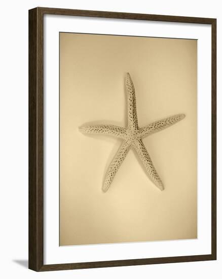 Neutral Shell I-Jairo Rodriguez-Framed Photographic Print