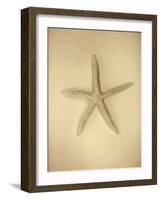 Neutral Shell I-Jairo Rodriguez-Framed Photographic Print