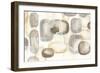 Neutral Stones V-Chris Paschke-Framed Art Print