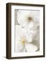 Neutral-Christine Zalewski-Framed Art Print