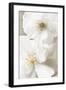 Neutral-Christine Zalewski-Framed Art Print