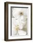 Neutral-Christine Zalewski-Framed Art Print