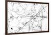 Neutrino Particle Interaction Event-Fermi National Accelerator-Framed Photographic Print