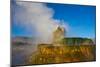 Nevada, Black Rock Desert, Fly Geyser Erupting-Bernard Friel-Mounted Photographic Print