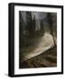 Nevada Falls, Yosemite, 1872 or 1873-Albert Bierstadt-Framed Giclee Print