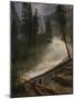 Nevada Falls, Yosemite, 1872 or 1873-Albert Bierstadt-Mounted Giclee Print