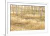 Nevada, Great Basin National Park. Grassy Meadow and Aspen Trees in Autumn-Jaynes Gallery-Framed Photographic Print