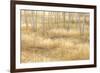 Nevada, Great Basin National Park. Grassy Meadow and Aspen Trees in Autumn-Jaynes Gallery-Framed Photographic Print