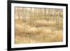 Nevada, Great Basin National Park. Grassy Meadow and Aspen Trees in Autumn-Jaynes Gallery-Framed Photographic Print