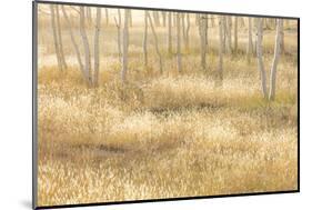 Nevada, Great Basin National Park. Grassy Meadow and Aspen Trees in Autumn-Jaynes Gallery-Mounted Photographic Print