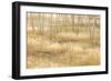 Nevada, Great Basin National Park. Grassy Meadow and Aspen Trees in Autumn-Jaynes Gallery-Framed Photographic Print