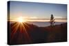 Nevada, Lake Tahoe at Sunset-Savanah Stewart-Stretched Canvas