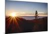 Nevada, Lake Tahoe at Sunset-Savanah Stewart-Mounted Photographic Print