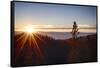 Nevada, Lake Tahoe at Sunset-Savanah Stewart-Framed Stretched Canvas