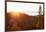 Nevada, Lake Tahoe at Sunset-Savanah Stewart-Framed Photographic Print