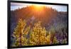 Nevada, Lake Tahoe at Sunset-Savanah Stewart-Framed Photographic Print