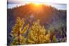 Nevada, Lake Tahoe at Sunset-Savanah Stewart-Stretched Canvas